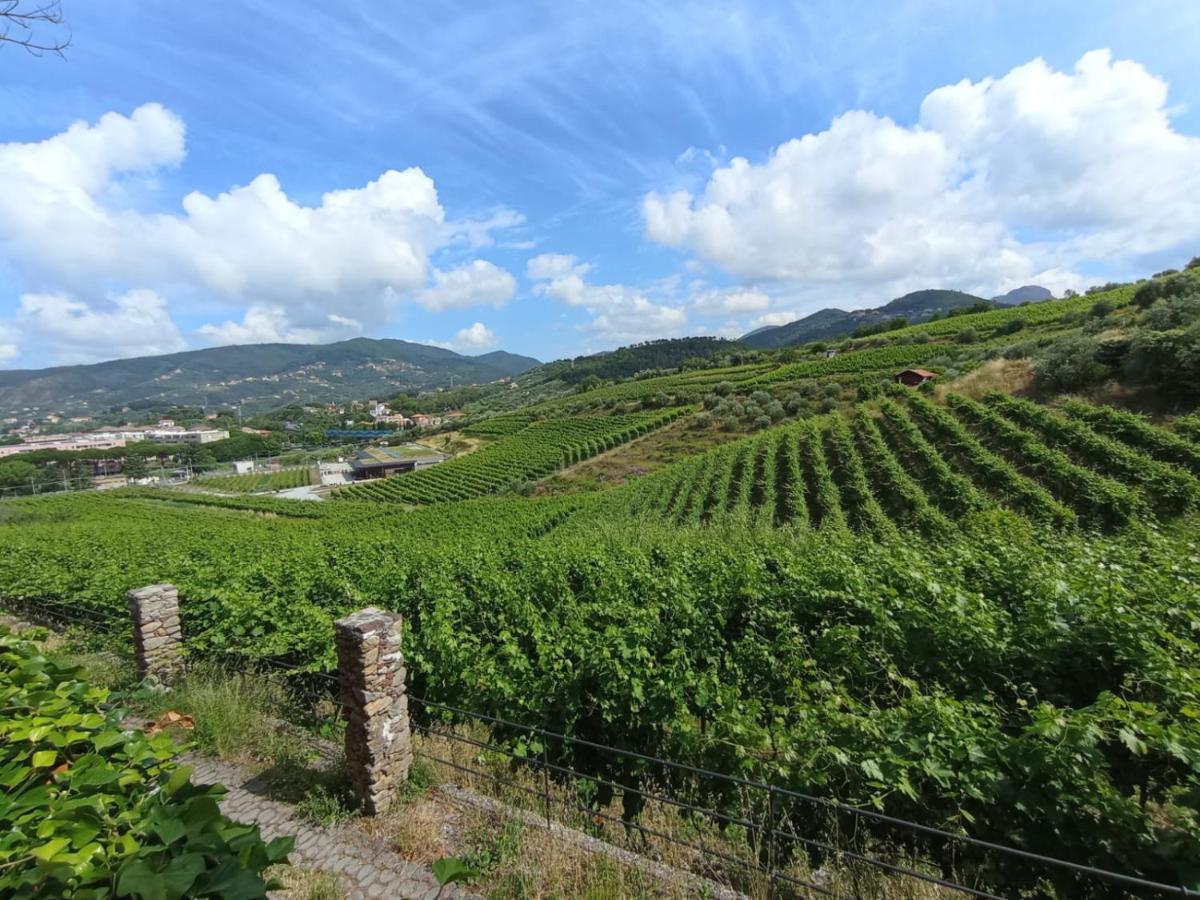 Apartamento Al Vigneto Sestri Levante Exterior foto