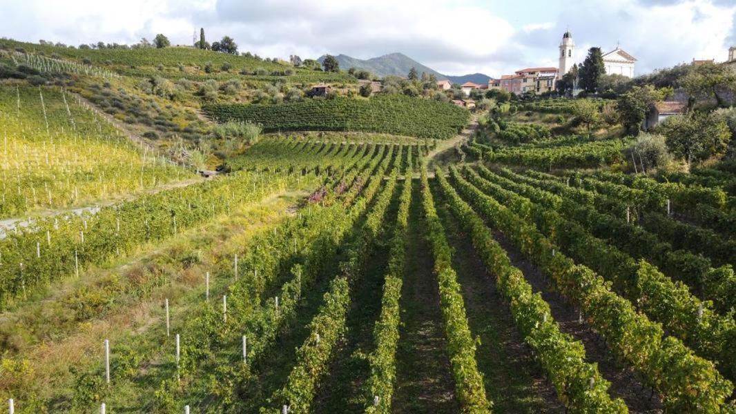 Apartamento Al Vigneto Sestri Levante Exterior foto