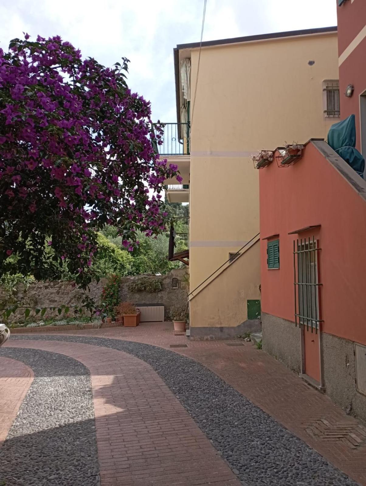 Apartamento Al Vigneto Sestri Levante Exterior foto